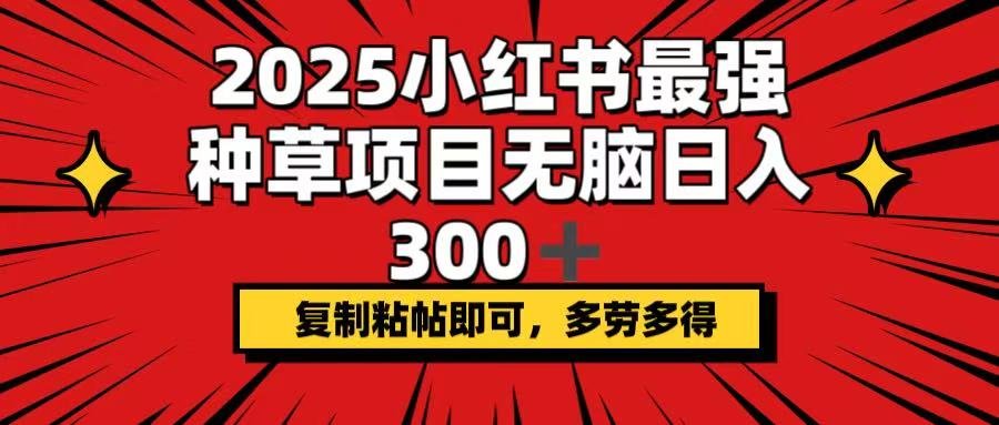 2025小红书最强种草项目，无脑日入300+，复制粘帖即可，多劳多得-腾渊网创