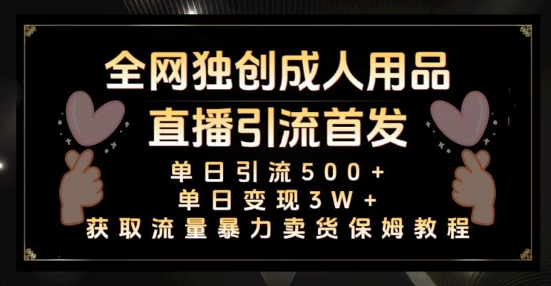 全网独创真人主播+无人直播单日引流500+，橙人用品暴力卖货单日变现3W+保姆似教学2.0【揭秘】-腾渊网创
