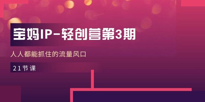 宝妈IP-轻创营第3期，人人都能抓住的流量风口(21节课-腾渊网创