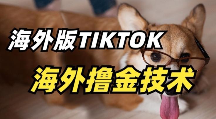 抖音海外版tiktok撸金技术，这个风口行业，赚钱真的不难【揭秘】-腾渊网创