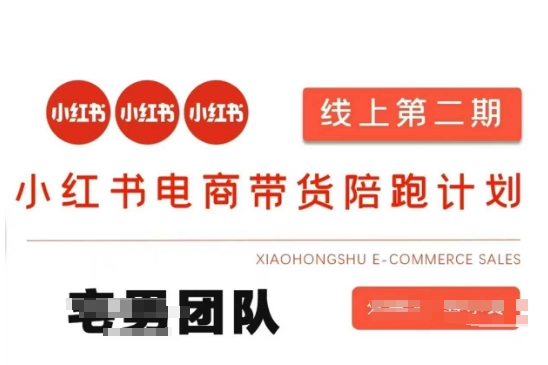 小红书电商带货课2期，月利润20个的小红书电商的有货源，无货源，虚拟产品，付费投流等整套玩法-腾渊网创