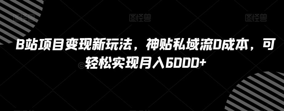 B站项目变现新玩法，神贴私域流0成本，可轻松实现月入6000+【揭秘】-腾渊论坛
