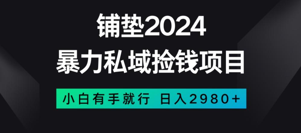 暴力私域捡钱项目，小白无脑操作，日入2980【揭秘】-腾渊论坛