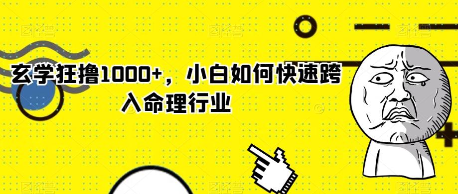 玄学狂撸1000+，小白如何快速跨入命理行业-腾渊网创