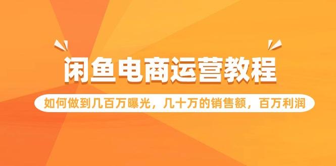 (9560期)闲鱼电商运营教程：如何做到几百万曝光，几十万的销售额，百万利润-腾渊网创