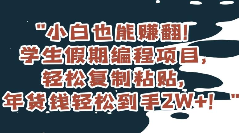 小白也能赚翻！学生假期编程项目，轻松复制粘贴，年货钱轻松到手2W+【揭秘】-腾渊网创