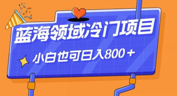 蓝海领域冷门赛道，一单39.9，日入800＋-腾渊论坛
