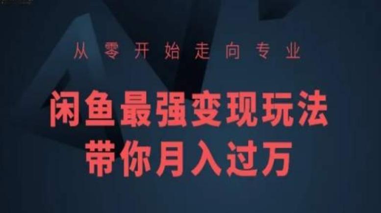 从零开始走向专业，闲鱼最强变现玩法带你月入过万-腾渊网创
