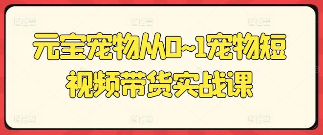 元宝宠物从0~1宠物短视频带货实战课-腾渊论坛