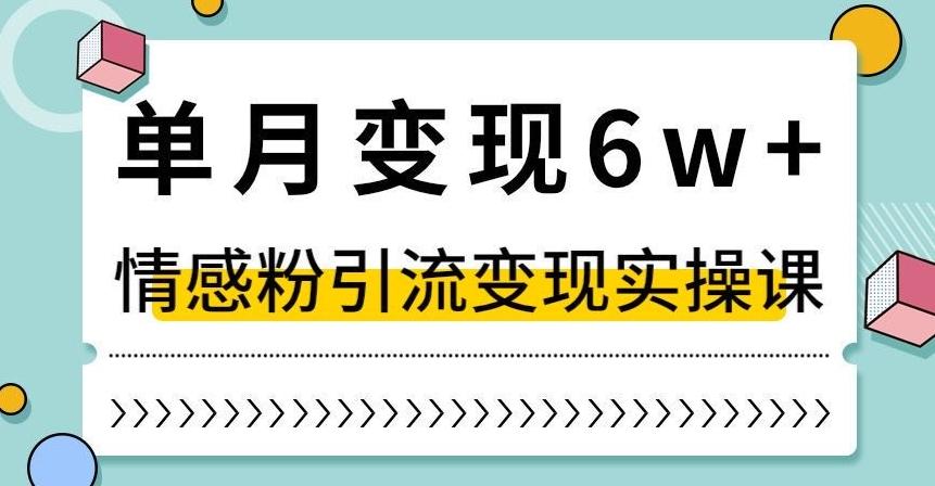 单月变现6W+，抖音情感粉引流变现实操课，小白可做，轻松上手，独家赛道【揭秘】-腾渊网创