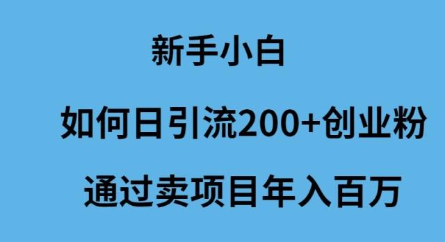 (9668期)新手小白如何日引流200+创业粉通过卖项目年入百万-腾渊网创