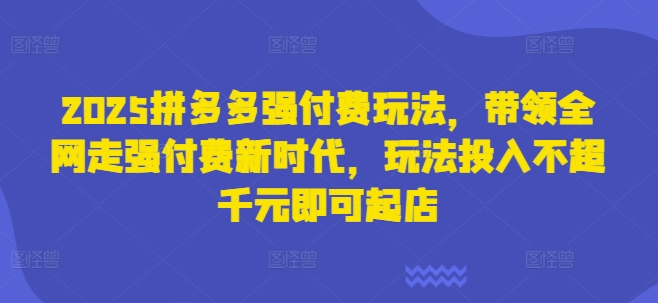 2025拼多多强付费玩法，带领全网走强付费新时代，玩法投入不超千元即可起店-腾渊论坛