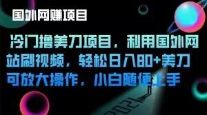 冷门撸美刀项目，利用国外网站刷视频，轻松日入80+美刀，可放大操作，小白随便上手-腾渊论坛