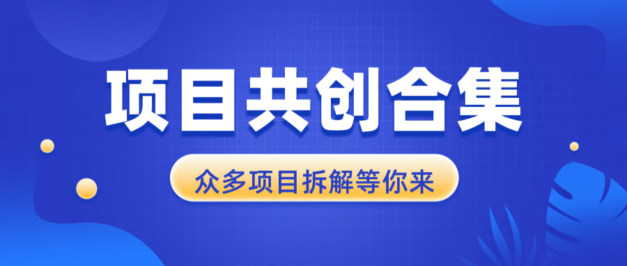 项目共创合集，从0-1全过程拆解，让你迅速找到适合自已的项目-腾渊网创