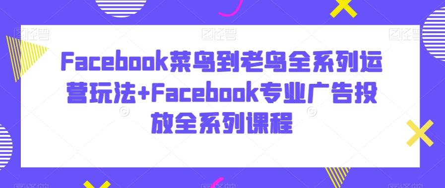 Facebook菜鸟到老鸟全系列运营玩法+Facebook专业广告投放全系列课程-腾渊论坛