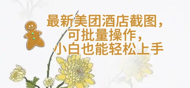 【轻云】最新美团酒店截图，可批量操作，小白也能轻松上手-腾渊网创