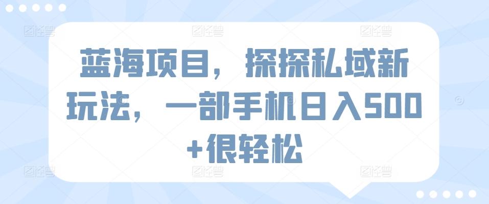 蓝海项目，探探私域新玩法，一部手机日入500+很轻松【揭秘】-腾渊网创