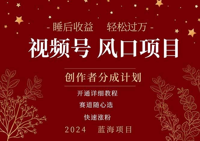 拥有睡眠收益的微信视频号大风口项目，轻松月入过万+，多赛道选择，可...-腾渊论坛