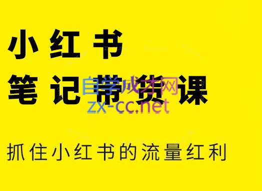 张宾·小红书笔记带货课(更新4月)-腾渊网创