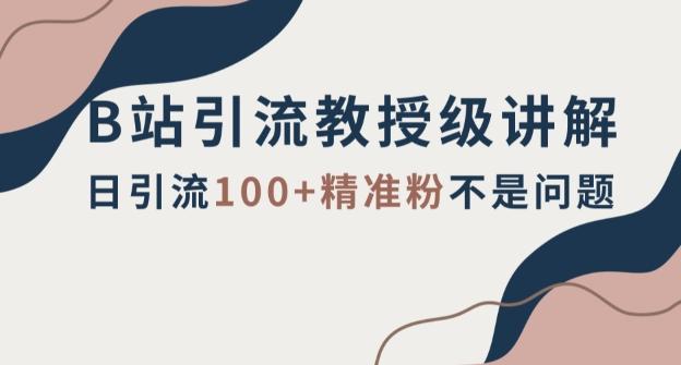 B站引流教授级讲解，细节满满，日引流100+精准粉不是问题【揭秘】-腾渊网创
