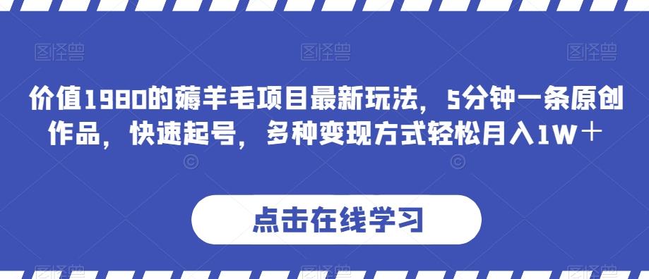 价值1980的薅羊毛项目最新玩法，5分钟一条原创作品，快速起号，多种变现方式轻松月入1W＋【揭秘】-腾渊网创