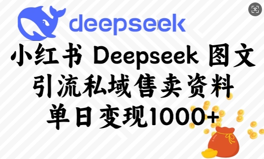 小红书Deepseek图文引流私域售卖资料，单日变现多张-腾渊网创