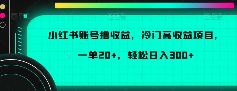 小红书账号撸收益，冷门高收益项目，一单20+，轻松日入300+【揭秘】-腾渊论坛