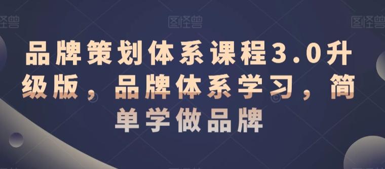 品牌策划体系课程3.0升级版，品牌体系学习，简单学做品牌-腾渊网创