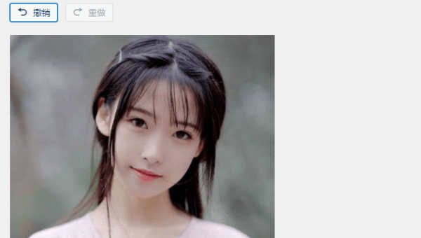 z - BlogPHP 博客 SEO：利用 WordPress 过滤器调整特定内容 SEO 元素-腾渊论坛