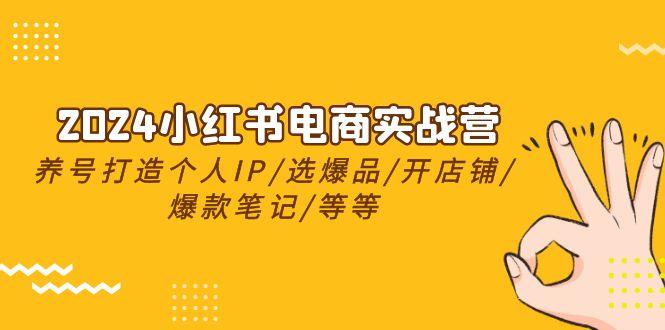 2024小红书电商实战营，养号打造IP/选爆品/开店铺/爆款笔记/等等(24节)-腾渊网创