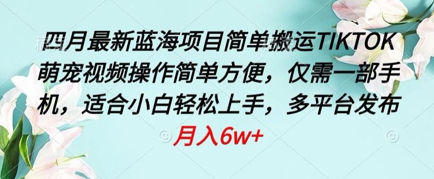 四月最新蓝海项目，简单搬运TIKTOK萌宠视频，操作简单方便，仅需一部手机【揭秘】-腾渊论坛