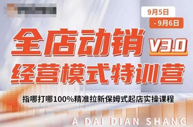 全店动销经营模式特训营，指哪打哪100%精准拉新保姆式起店实操课程-腾渊网创