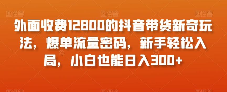 外面收费12800的抖音带货新奇玩法，爆单流量密码，新手轻松入局，小白也能日入300+【揭秘】-腾渊网创