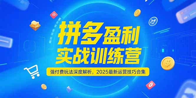 拼多多盈利实战训练营，强付费玩法深度解析，2025运营技巧合集-更新6月-腾渊网创