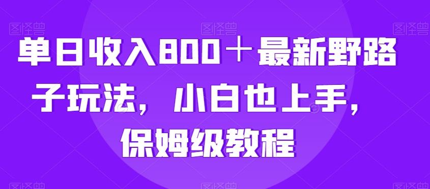 单日收入800＋最新野路子玩法，小白也上手，保姆级教程-腾渊论坛
