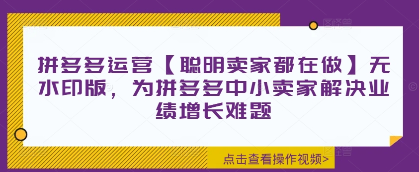 拼多多运营【聪明卖家都在做】无水印版，为拼多多中小卖家解决业绩增长难题-腾渊论坛