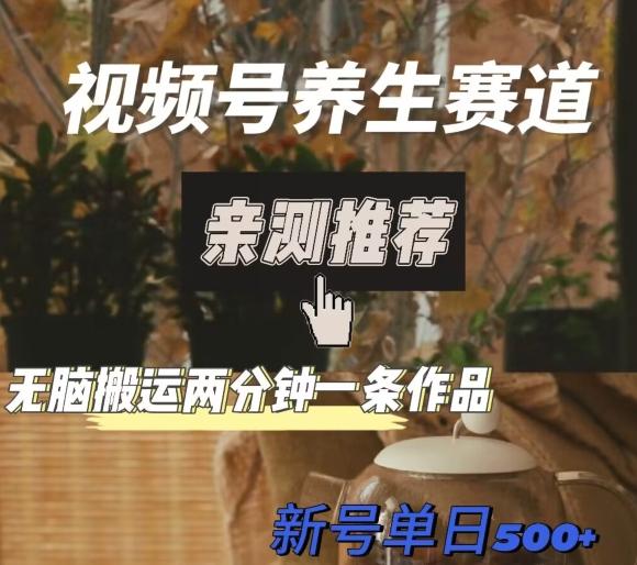 视频号养生赛道暴力掘金，无脑搬运，两分钟一条作品-新日单入500+-腾渊网创