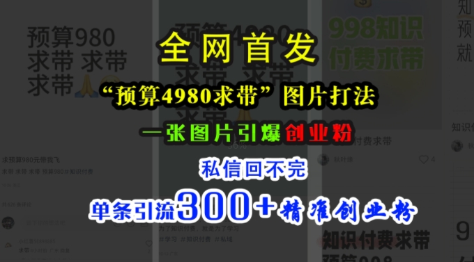 小红书“预算4980带我飞”图片打法，一张图片引爆创业粉，私信回不完，单条引流300+精准创业粉-腾渊网创