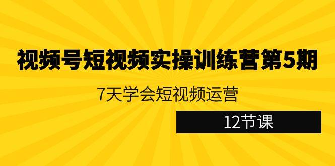 视频号短视频实操训练营第5期：7天学会短视频运营(12节课)-腾渊网创