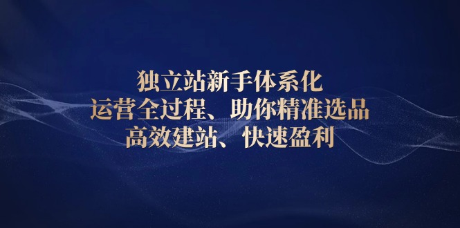 独立站新手体系化 运营全过程，助你精准选品、高效建站、快速盈利-腾渊网创