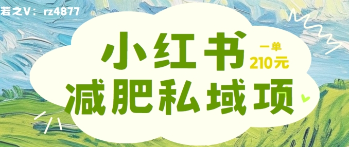 小红书减肥粉，私域变现项目，一单就达210元，小白也能轻松上手【揭秘】-腾渊网创