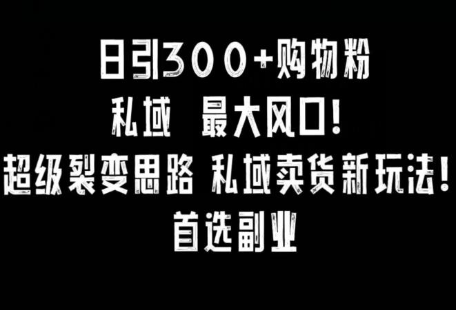 日引300+购物粉，超级裂变思路，私域卖货新玩法，小红书首选副业【揭秘】-腾渊网创