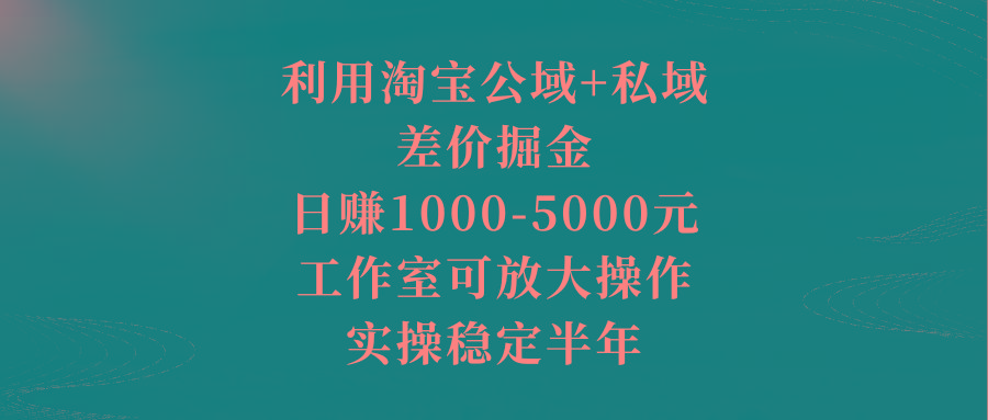 利用淘宝公域+私域差价掘金，日赚1000-5000元，工作室可放大操作，实操...-腾渊网创