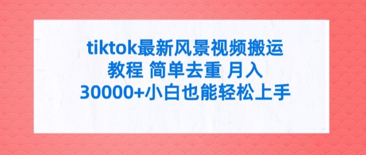tiktok最新风景视频搬运教程 简单去重 月入3W+小白也能轻松上手【揭秘】-腾渊网创