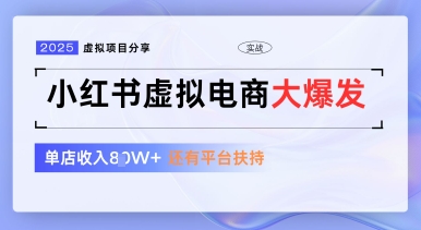 小红书虚拟电商项目，平台大力免费流量扶持，低门槛1拖3玩法-腾渊论坛