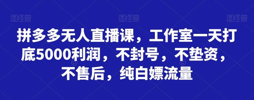 拼多多无人直播课，工作室一天打底5000利润，不封号，不垫资，不售后，纯白嫖流量-腾渊论坛