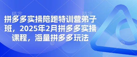 拼多多实操陪跑特训营弟子班，2025年2月拼多多实操课程，海量拼多多玩法-腾渊网创