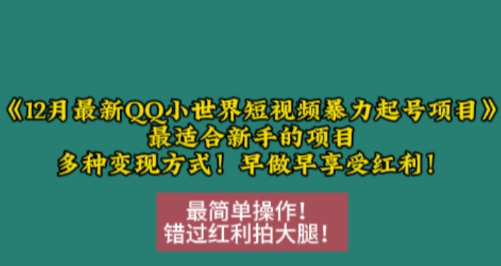 12月最新QQ小世界短视频暴力起号项目，最适合新手的项目，多种变现方式-腾渊网创