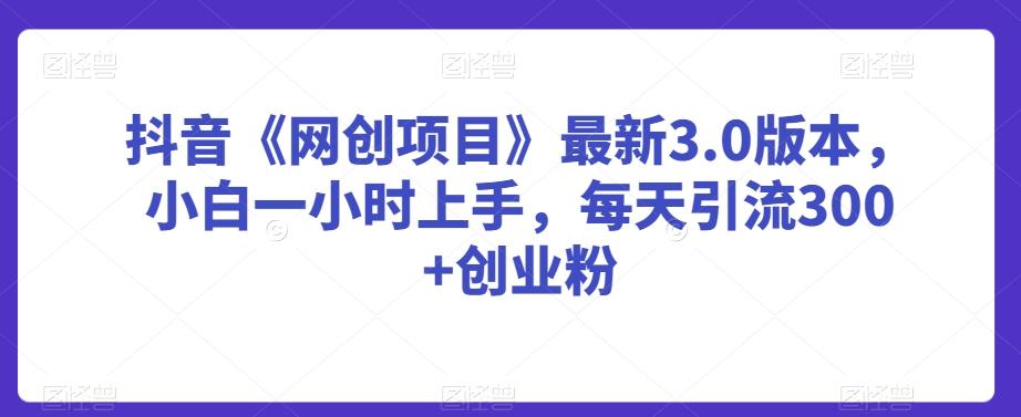 抖音《网创项目》最新3.0版本，小白一小时上手，每天引流300+创业粉【揭秘】-腾渊网创