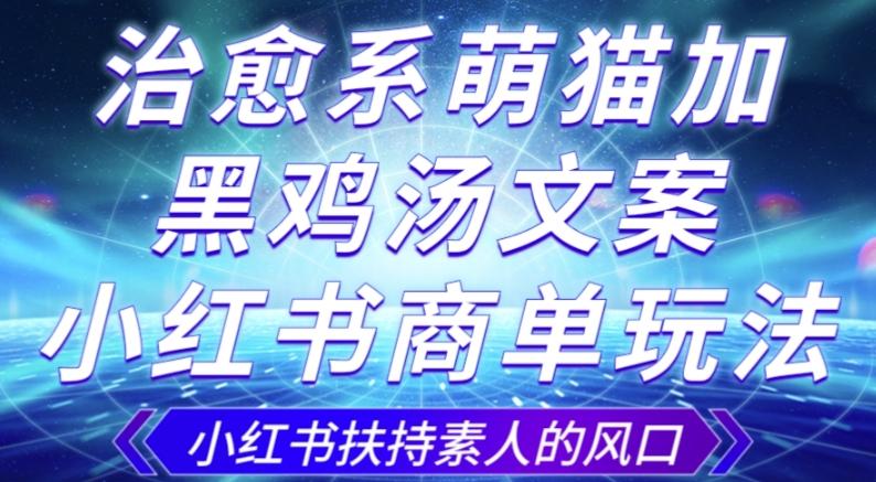 治愈系萌猫加+黑鸡汤文案，小红书商单玩法，3~10天涨到1000粉，一单200左右-腾渊网创